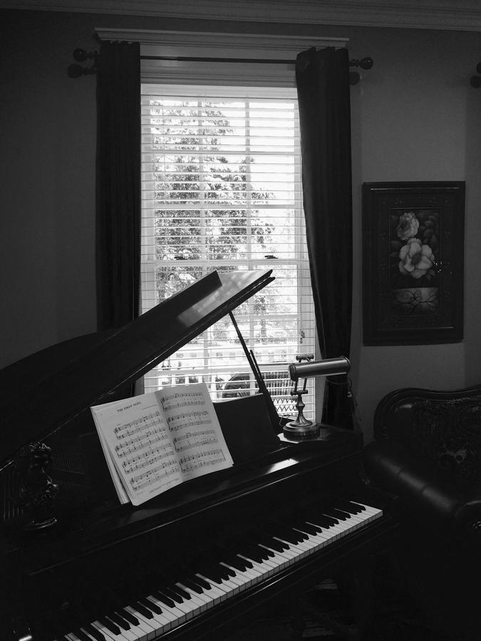 Bama Bed And Breakfast - Chimes Suite Tuscaloosa Eksteriør billede
